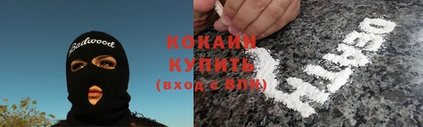 шишки Корсаков