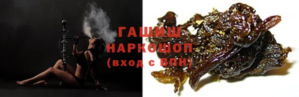 шишки Корсаков