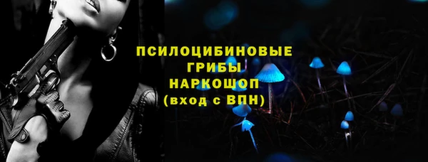 дурь Коряжма