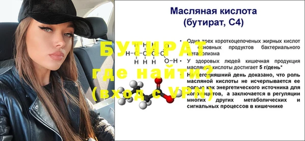 шишки Корсаков