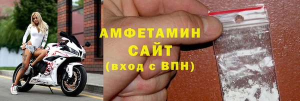 шишки Корсаков